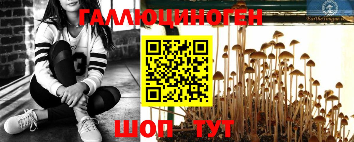 Псилоцибиновые грибы мицелий Находка